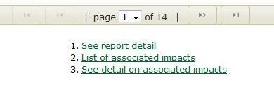 Level of Report Detail